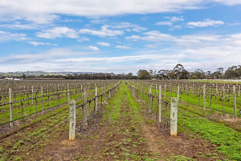 Rural / Farming commercial property for sale at 258 Angaston Road Angaston SA 5353 Rural / Farming commercial property for sale at 258 Angaston Road Angaston SA 5353