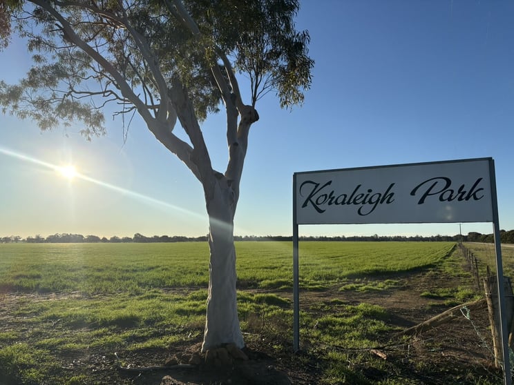 Rural / Farming commercial property for sale at 7600 Murray Valley Highway Tongala VIC 3621 Rural / Farming commercial property for sale at 7600 Murray Valley Highway Tongala VIC 3621