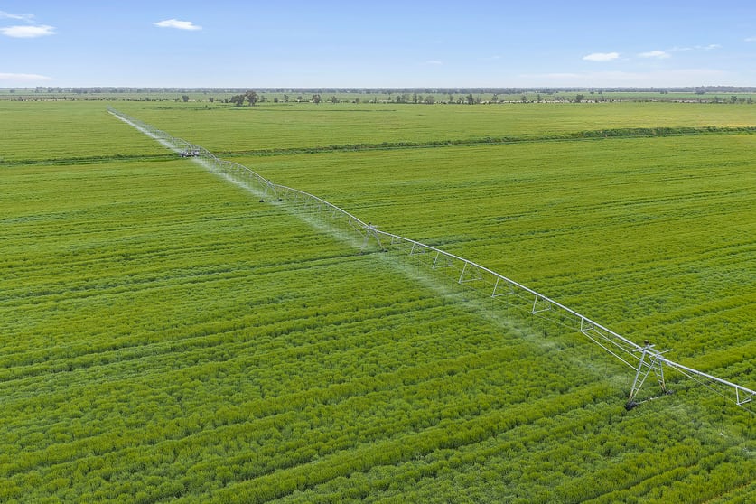 Rural / Farming commercial property for sale at 0 Kerang-Murrabit Road Murrabit VIC 3579 Rural / Farming commercial property for sale at 0 Kerang-Murrabit Road Murrabit VIC 3579