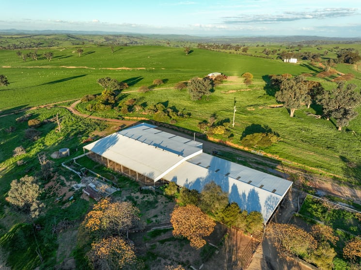 Rural / Farming commercial property for sale at 780 Pattersons Road Wagga Wagga NSW 2650 Rural / Farming commercial property for sale at 780 Pattersons Road Wagga Wagga NSW 2650