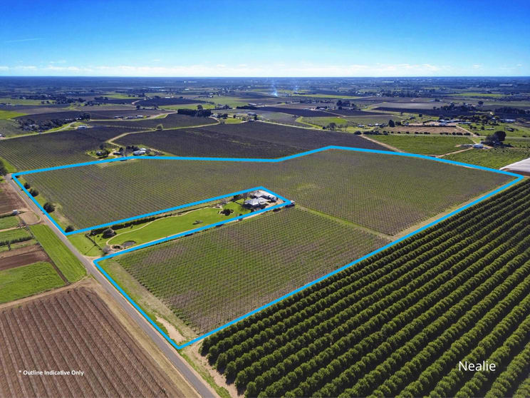 Rural / Farming commercial property for sale at Cardross VIC 3496