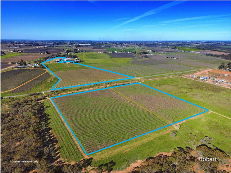 Rural / Farming commercial property for sale at Cardross VIC 3496