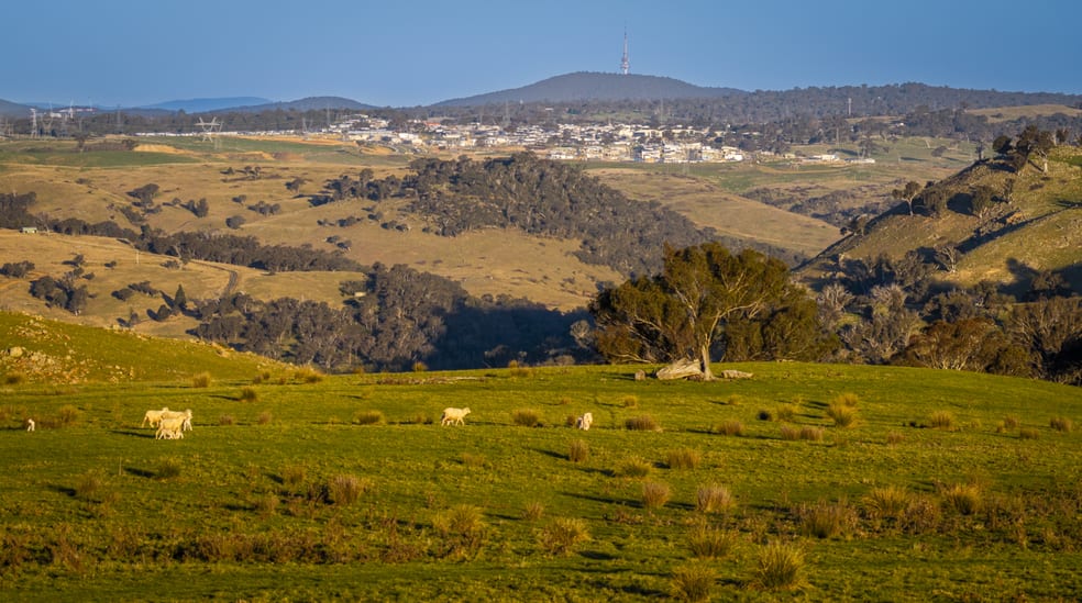 Rural / Farming commercial property for sale at 1521 Mountain Creek Road Uriarra NSW 2611