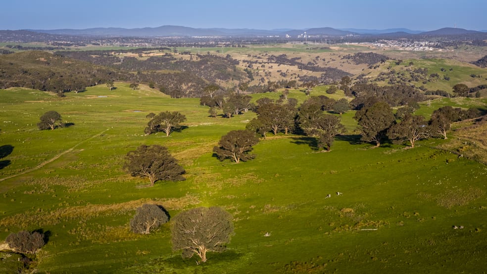 Rural / Farming commercial property for sale at 1521 Mountain Creek Road Uriarra NSW 2611
