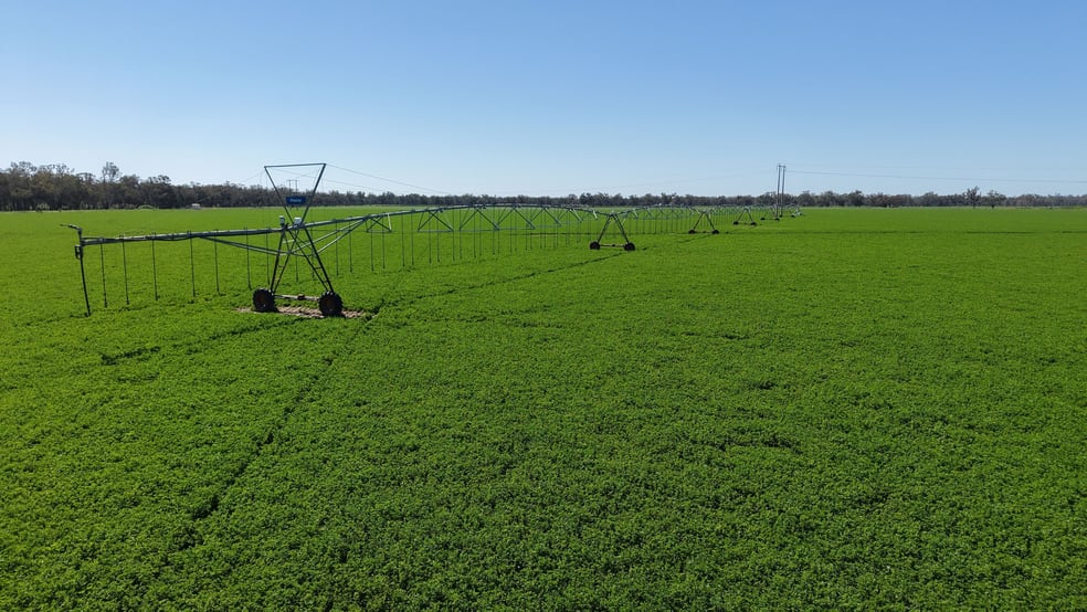 Rural / Farming commercial property for sale at Tiagarra, 339 New Grenfell Road Forbes NSW 2871