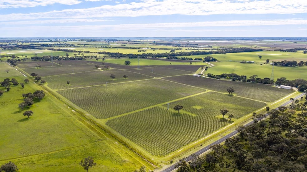 Rural / Farming commercial property for sale at Davis Road Coonawarra SA 5263 Rural / Farming commercial property for sale at Davis Road Coonawarra SA 5263
