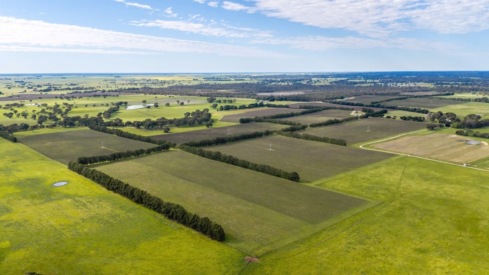 Rural / Farming commercial property for sale at Davis Road Coonawarra SA 5263 Rural / Farming commercial property for sale at Davis Road Coonawarra SA 5263