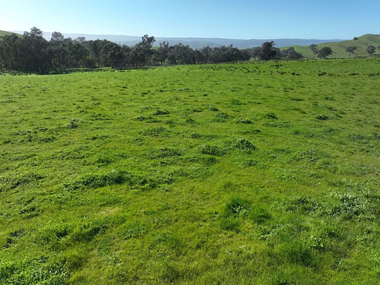 Rural / Farming commercial property for sale at 5695 Melba Highway Yea VIC 3717 Rural / Farming commercial property for sale at 5695 Melba Highway Yea VIC 3717