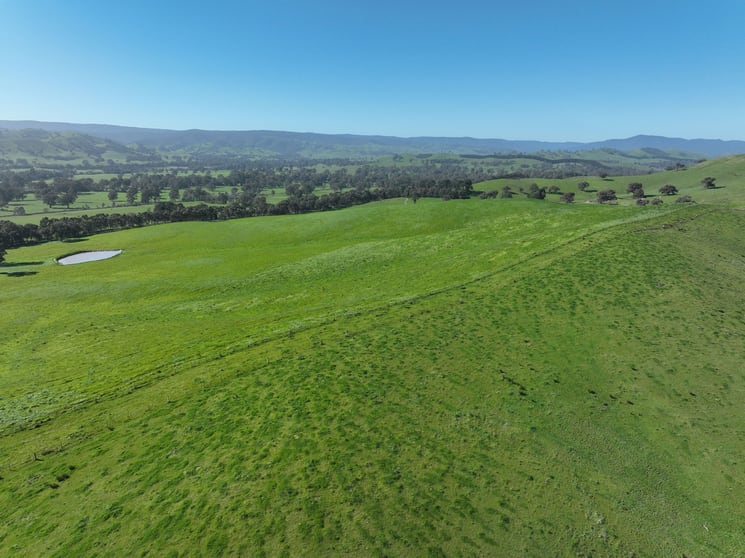 Rural / Farming commercial property for sale at 5695 Melba Highway Yea VIC 3717 Rural / Farming commercial property for sale at 5695 Melba Highway Yea VIC 3717