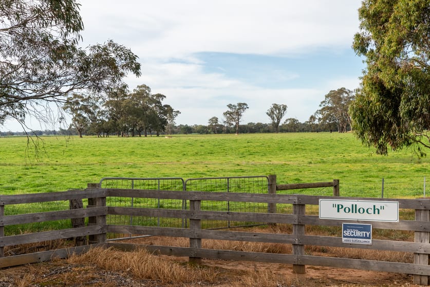 Rural / Farming commercial property for sale at Bailieston VIC 3608 Rural / Farming commercial property for sale at Bailieston VIC 3608