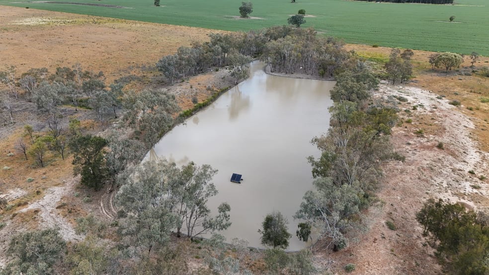Rural / Farming commercial property for sale at 814 Murrays Road Moree NSW 2400 Rural / Farming commercial property for sale at 814 Murrays Road Moree NSW 2400