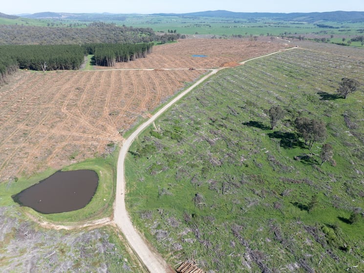 Rural / Farming commercial property for sale at 34 Ikes Mountain Road Mannus NSW 2653 Rural / Farming commercial property for sale at 34 Ikes Mountain Road Mannus NSW 2653