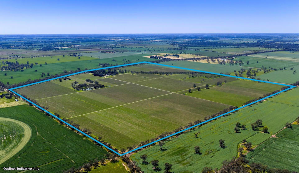 Rural / Farming commercial property for sale at 963 Rowney Road Mundulla SA 5270