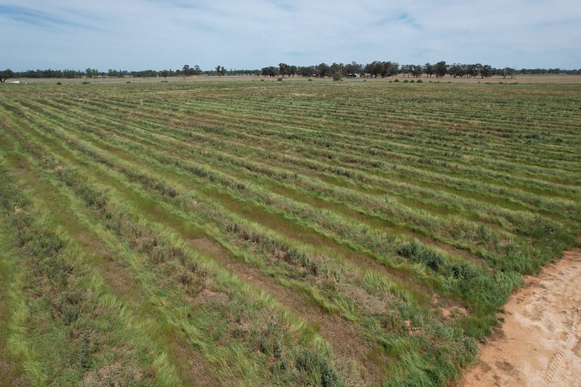Rural / Farming commercial property for sale at 706 Dansons Road Yalca VIC 3637 Rural / Farming commercial property for sale at 706 Dansons Road Yalca VIC 3637