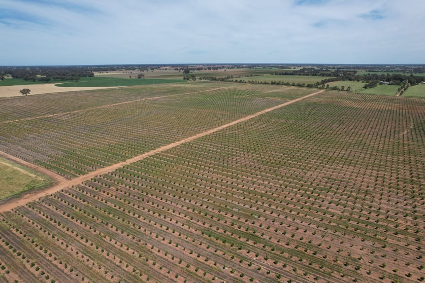 Rural / Farming commercial property for sale at 706 Dansons Road Yalca VIC 3637 Rural / Farming commercial property for sale at 706 Dansons Road Yalca VIC 3637