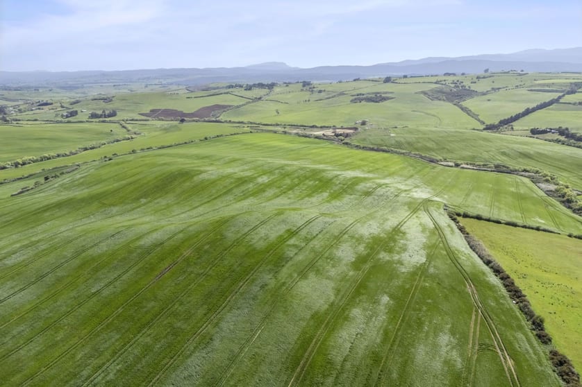 Rural / Farming commercial property for sale at 455 White Hills Road White Hills TAS 7258 Rural / Farming commercial property for sale at 455 White Hills Road White Hills TAS 7258