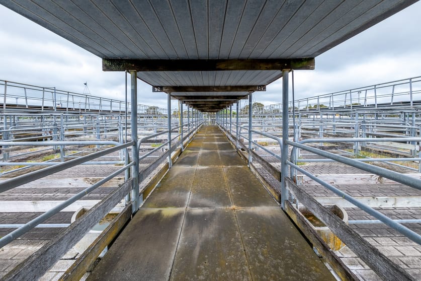 Development / Land commercial property for sale at 61 Saleyards Road Millicent SA 5280