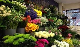Giant florist for sale BL-0681