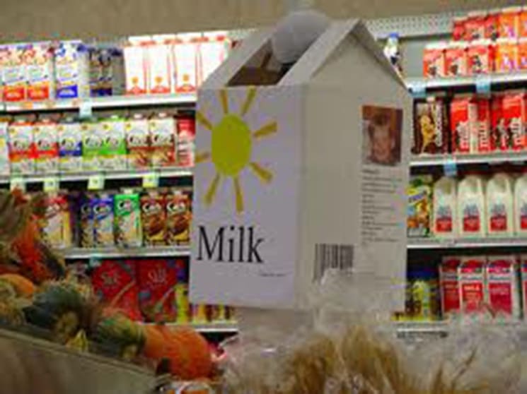 Milk bar and fish chips for sale BD-0675 Milk bar and fish chips for sale BD-0675