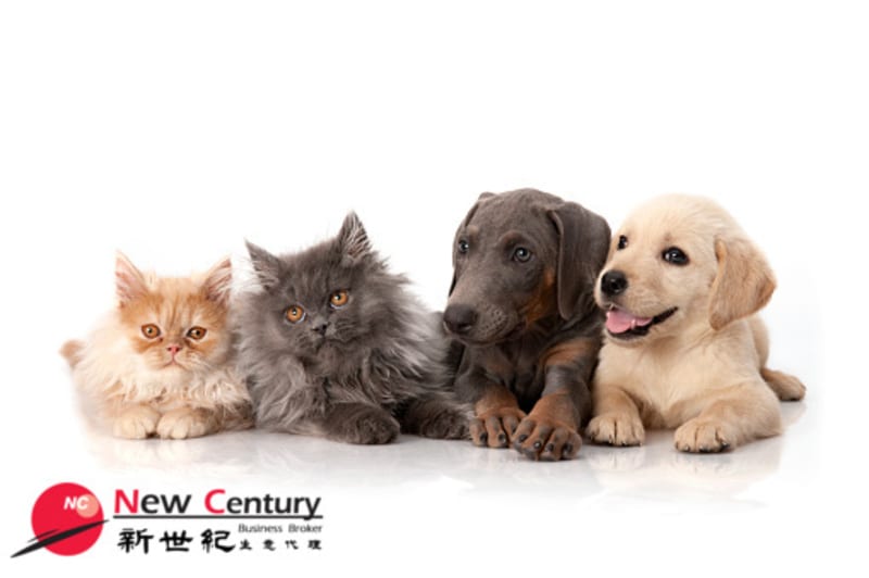 Pet Grooming --carnegie -- #7778311