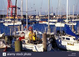 Café For Sale - Front Row - Williamstown