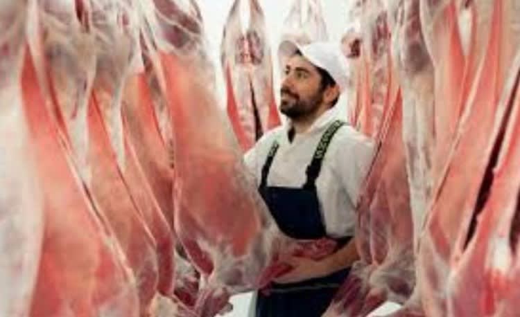 Halal Butcher Shop Near Caulfield Ref: 18130 Halal Butcher Shop Near Caulfield Ref: 18130