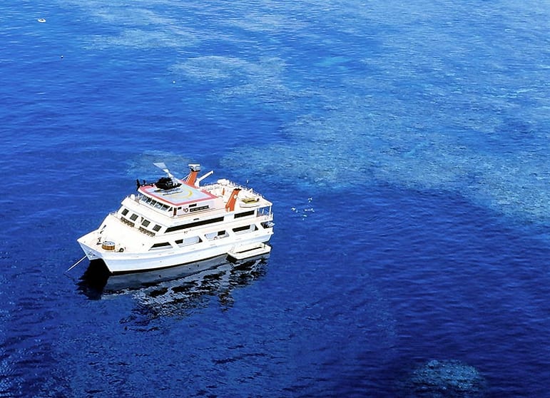 Australian liveaboard operation with expedition and  Day Reef trip vessels