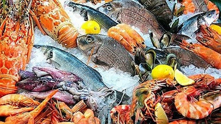 Ref: 3101, *MONEY MAKER* Seafood, Eastern Suburbs Ref: 3101, *MONEY MAKER* Seafood, Eastern Suburbs