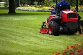 Bellarine Mower Service - For Sale