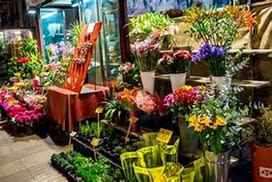 Fashionable Florist both retail and online sales.