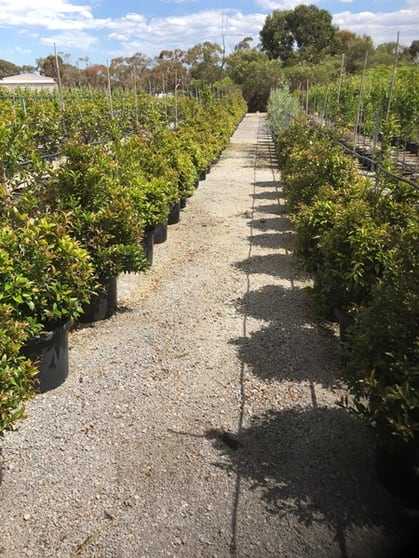 For Lease - 10 Acres Growth Corridor - Just West Of Melbourne CBD For Lease - 10 Acres Growth Corridor - Just West Of Melbourne CBD