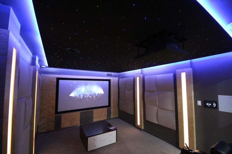 Acquire a leading provider of integrated home automation/ entertainment systems Acquire a leading provider of integrated home automation/ entertainment systems