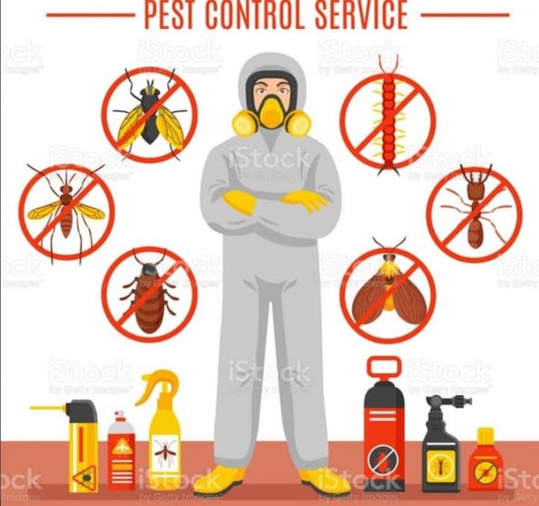Pest Control Business