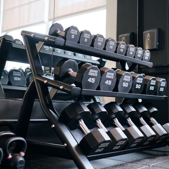 Popular 24/7 Gym & Fitness Club With Huge Space & Modern Equipment In Populating Melbourne's North Popular 24/7 Gym & Fitness Club With Huge Space & Modern Equipment In Populating Melbourne's North