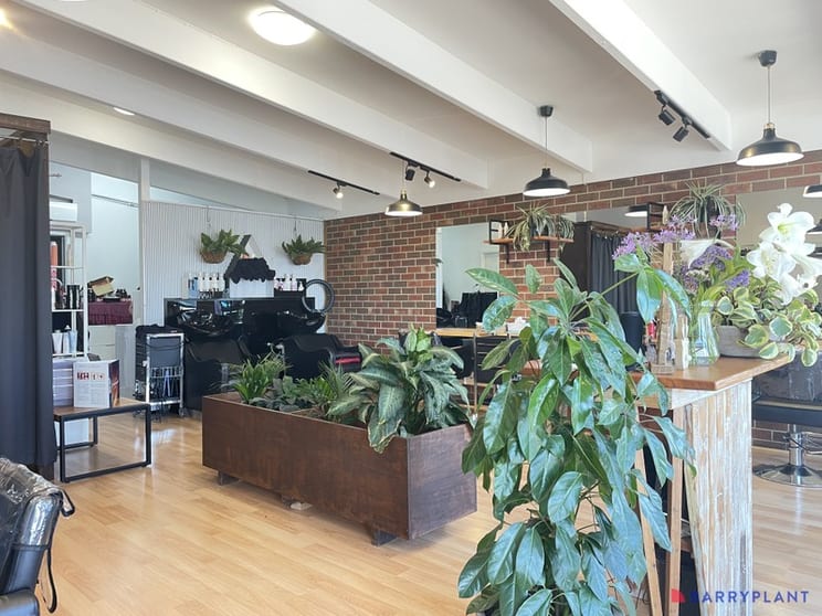 Thriving Hair Salon in Prime Phillip Island Location Thriving Hair Salon in Prime Phillip Island Location