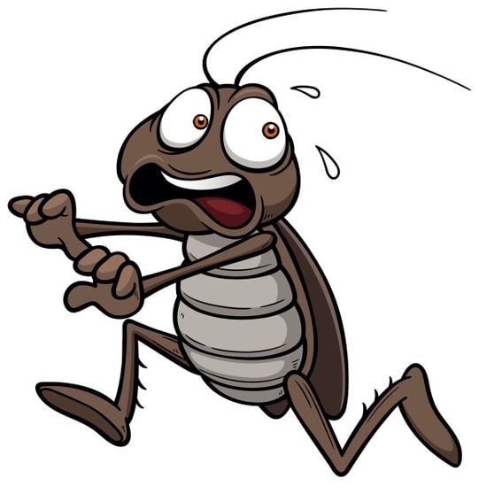 Pest control business for sale Reduced down to $65,000 WIWO Pest control business for sale Reduced down to $65,000 WIWO