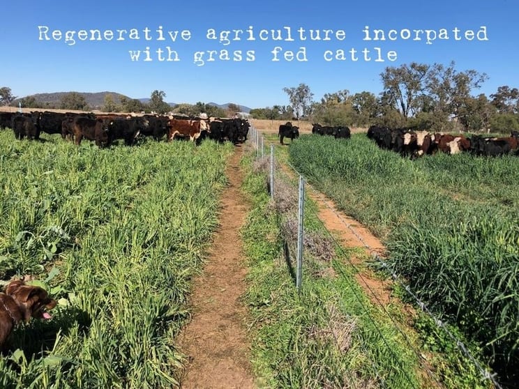 Investment Opportunity In Organic Farmer-foods Direct Supply Chain Investment Opportunity In Organic Farmer-foods Direct Supply Chain