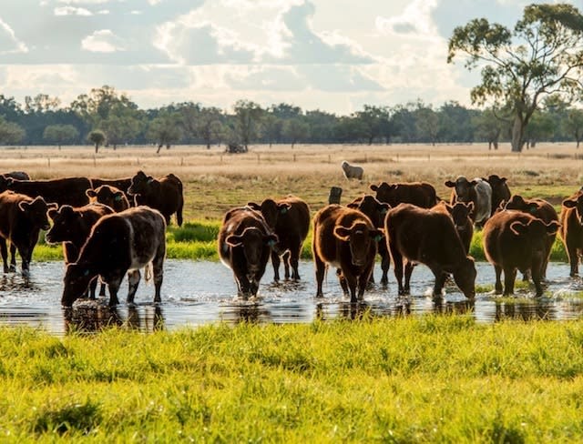 Investment Opportunity In Organic Farmer-foods Direct Supply Chain Investment Opportunity In Organic Farmer-foods Direct Supply Chain