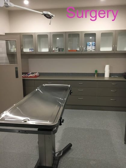 Animal Hospital & Veterinary Business Animal Hospital & Veterinary Business