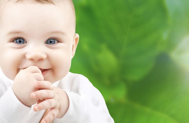 Group 3 Childcare Centres 1 LDC & 2 OSHC for Sale $955k Group 3 Childcare Centres 1 LDC & 2 OSHC for Sale $955k