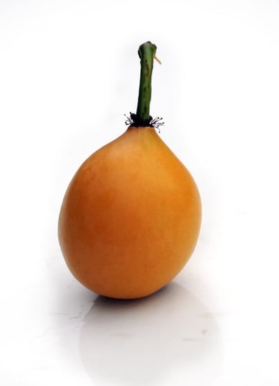 Easy to run, highly  profitable fruit farm.