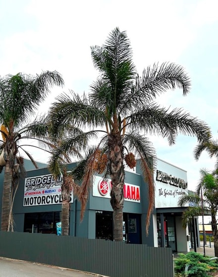 Bridgeland Motorcycles Dealership - Sales & Service - Freehold Available Bridgeland Motorcycles Dealership - Sales & Service - Freehold Available