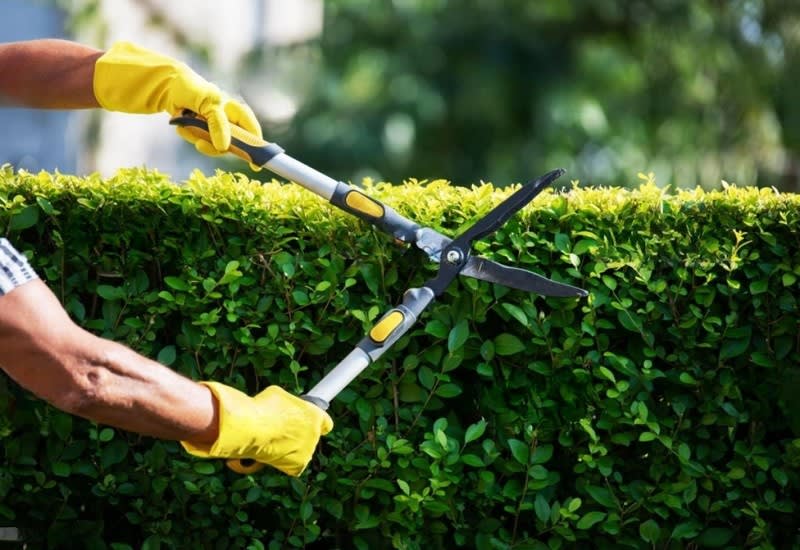 Long-Established Lawn/Garden Business: HIGH INCOME! WORK FROM ANYWHERE! Long-Established Lawn/Garden Business: HIGH INCOME! WORK FROM ANYWHERE!