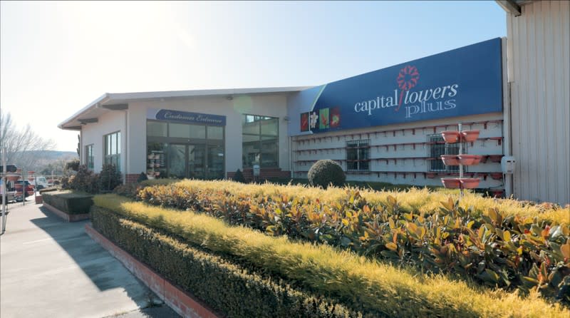Capital Flowers is the established market leader in Canberra. Capital Flowers is the established market leader in Canberra.