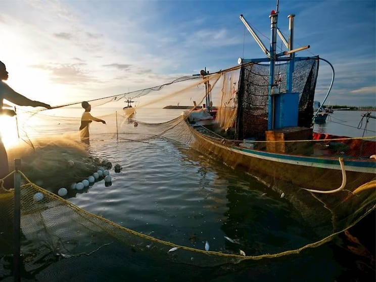 Profitable Commercial Fishing Business for Sale - NSW Coastal Profitable Commercial Fishing Business for Sale - NSW Coastal
