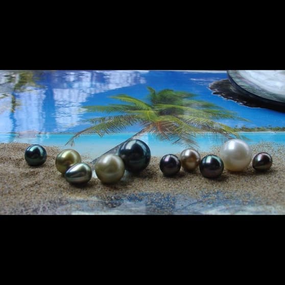 Discover a Hidden Gem - Tiare Black Pearl, Mornington