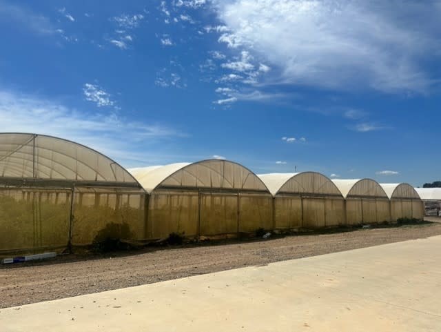 Well established farm for sell PC-0034