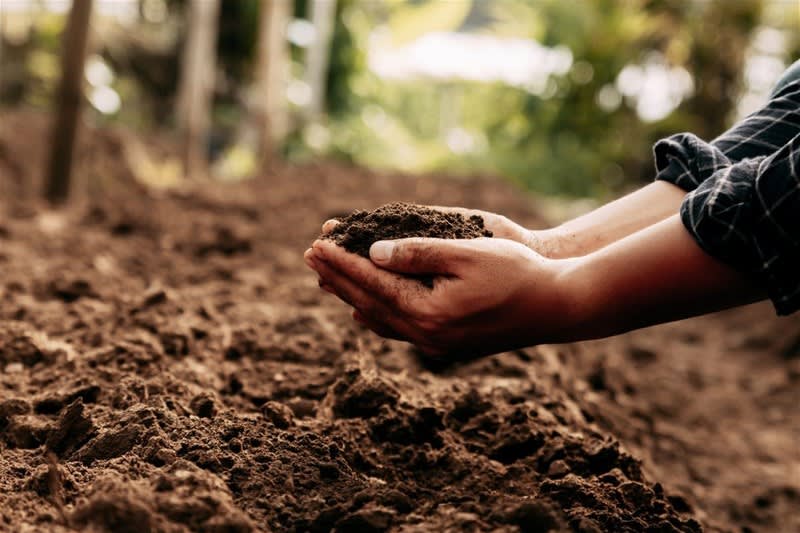 Specialist Soil Testing Laboratory Based in South Australia Specialist Soil Testing Laboratory Based in South Australia