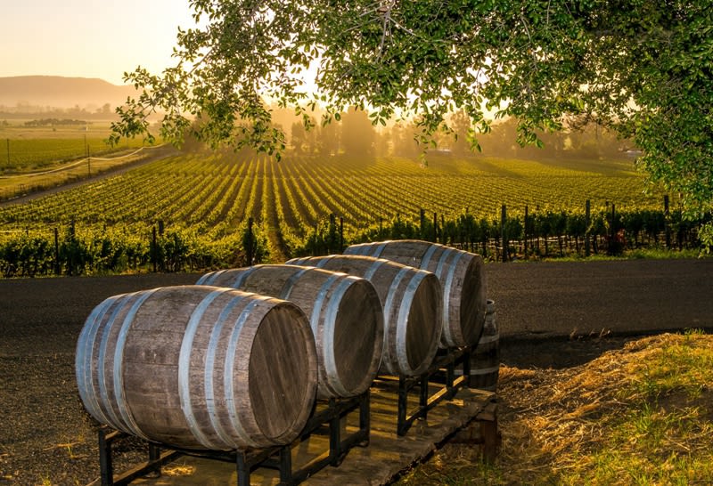 Vineyard and cattle farm for sale PCB- 0045 Vineyard and cattle farm for sale PCB- 0045