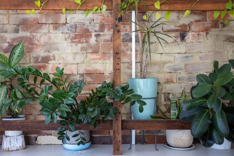Highly Regarded | Inner West Cafe